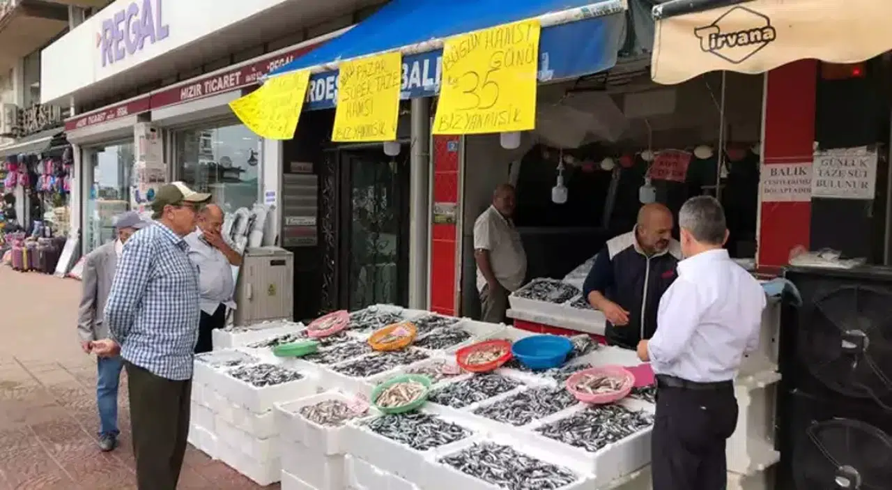 Hamsi Fiyatı 35 Liradan Vatandaşa Sunuldu!