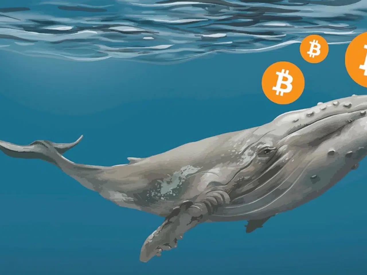 Bitcoin Balinalarından Büyük Hamle: 10 Günde 20.000 BTC Alımı