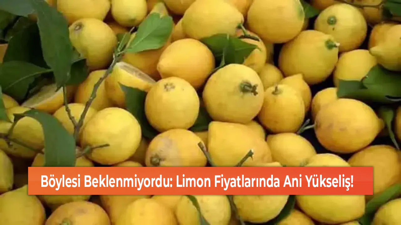 Böylesi Beklenmiyordu: Limon Fiyatlarında Ani Yükseliş!
