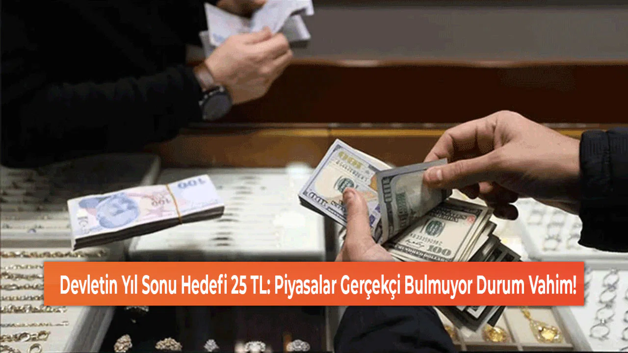 Devletin Yıl Sonu Hedefi 25 TL: Piyasalar Gerçekçi Bulmuyor Durum Vahim!