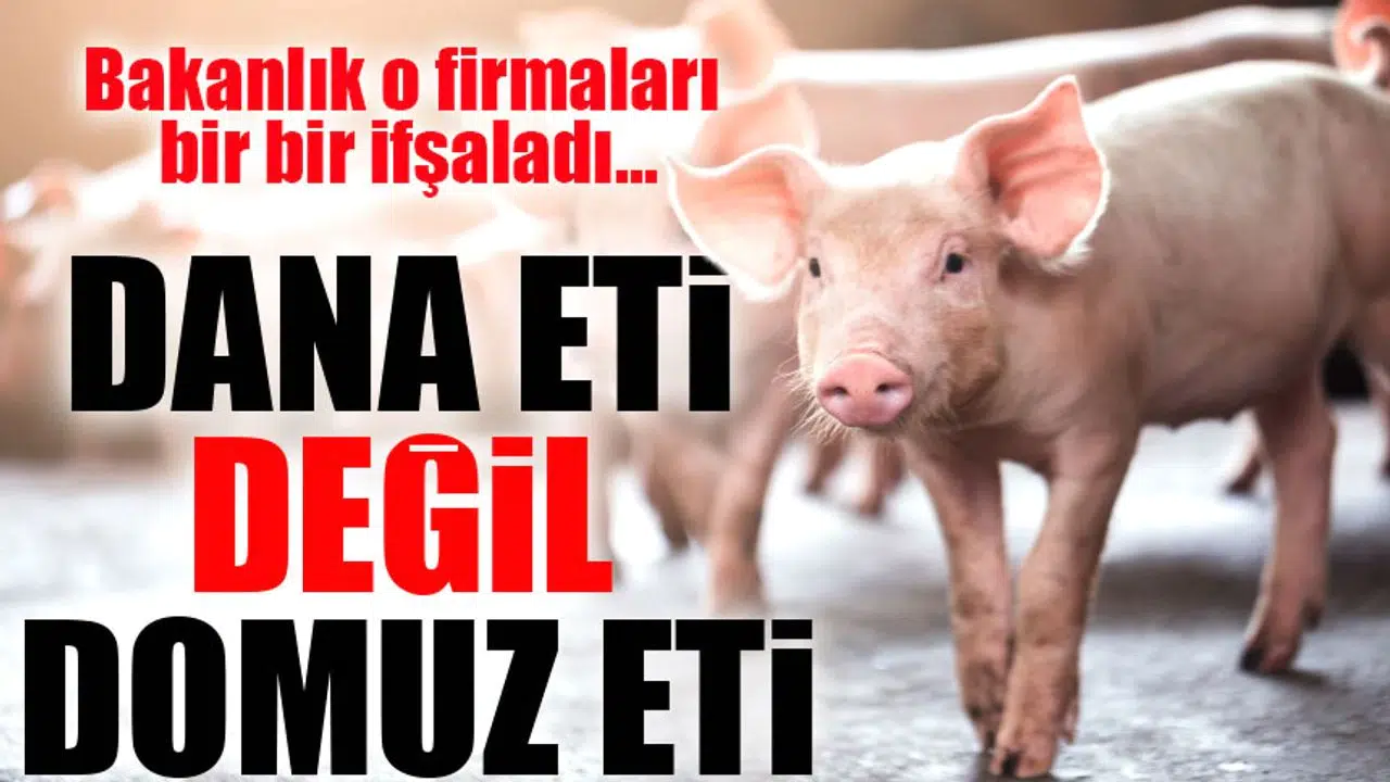 Domuz Eti Alarmı: Bakanlık Uyardı, Marketlerde Satılan Salamlar Geri Çekiliyor
