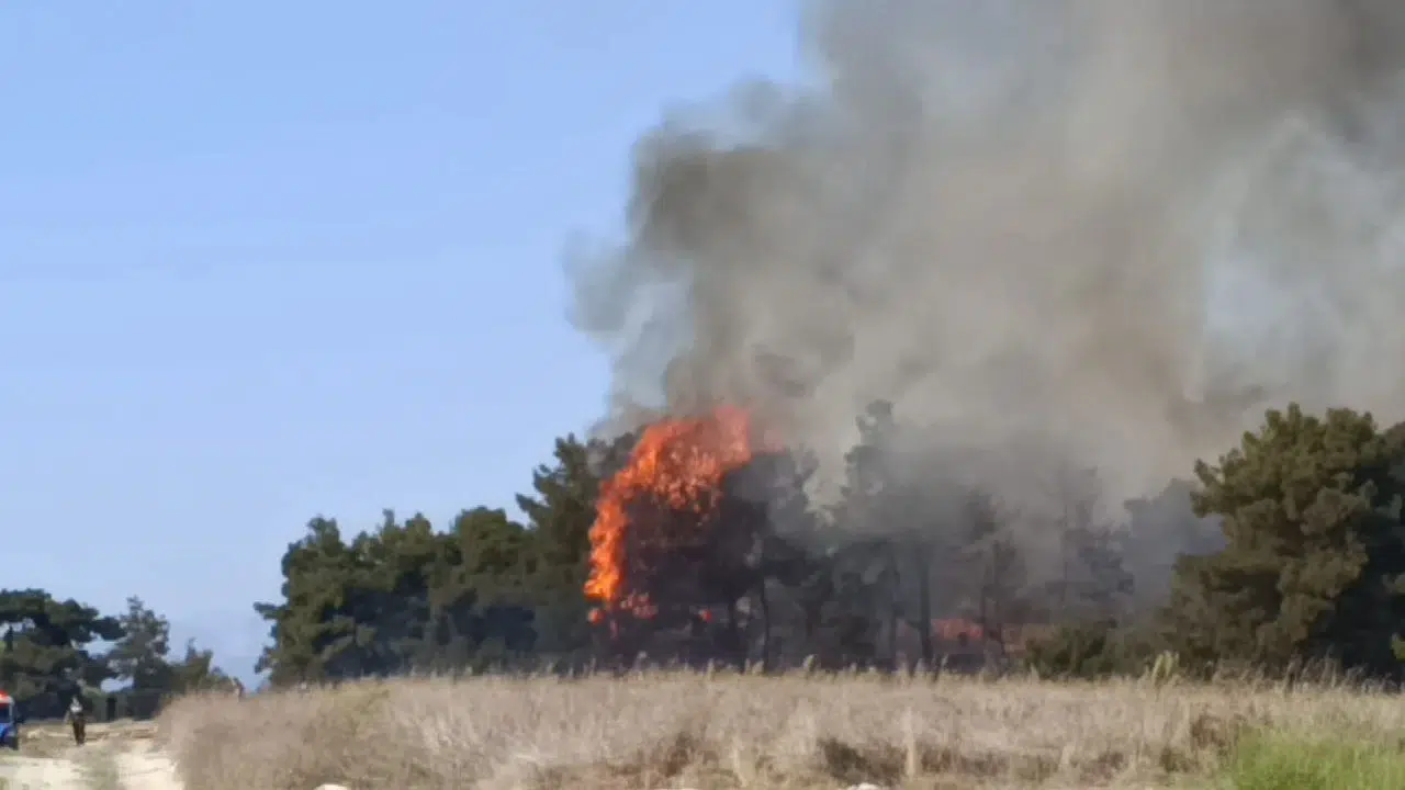 Manavgat’ta Korkutan Yangın: Alevler Ormanlık Alana Sıçradı