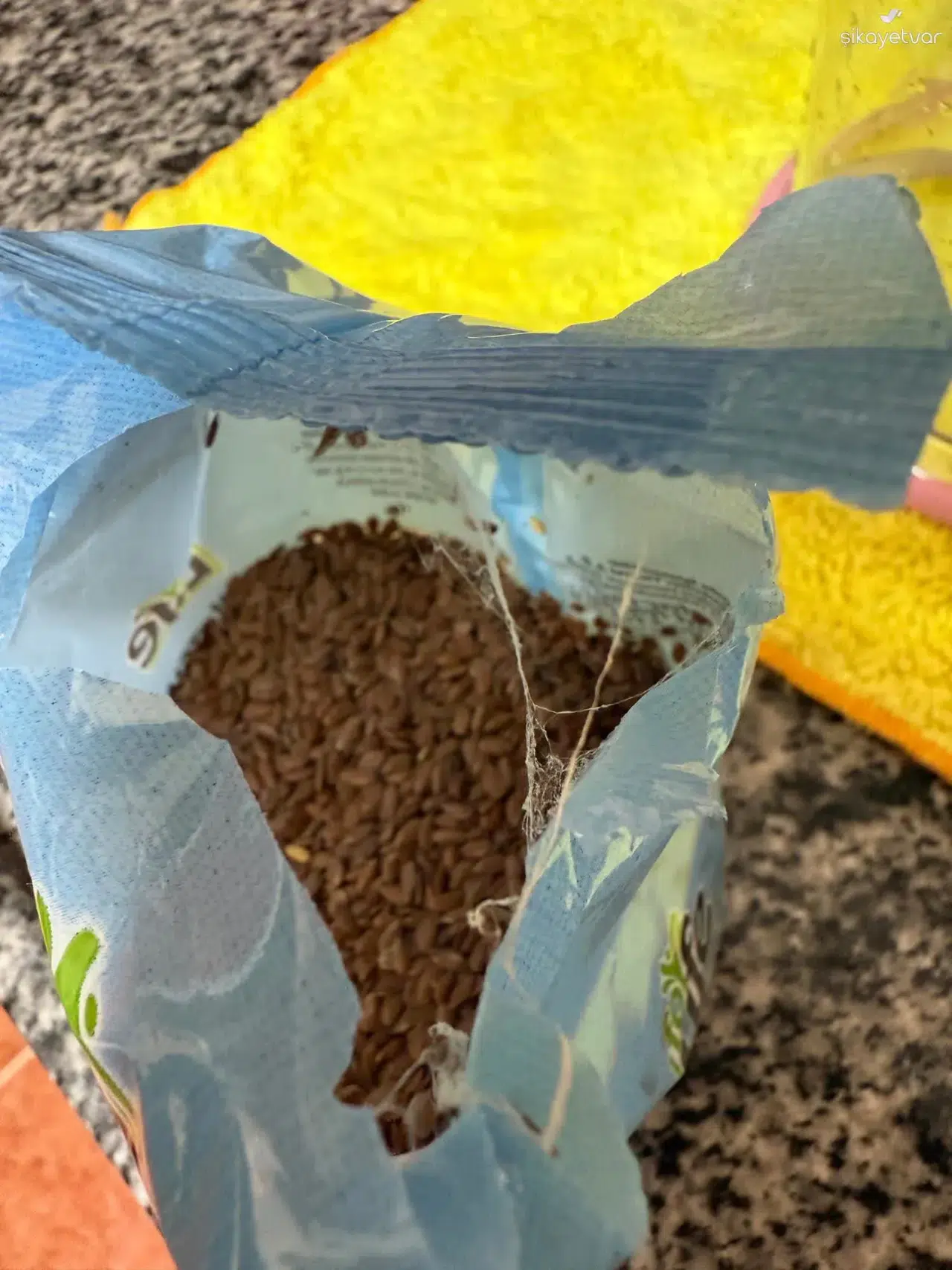 Kocaeli Darıca’da Marketten Alınan Keten Tohumu Şaşkınlık Yarattı: İçinden Böcekler Çıktı