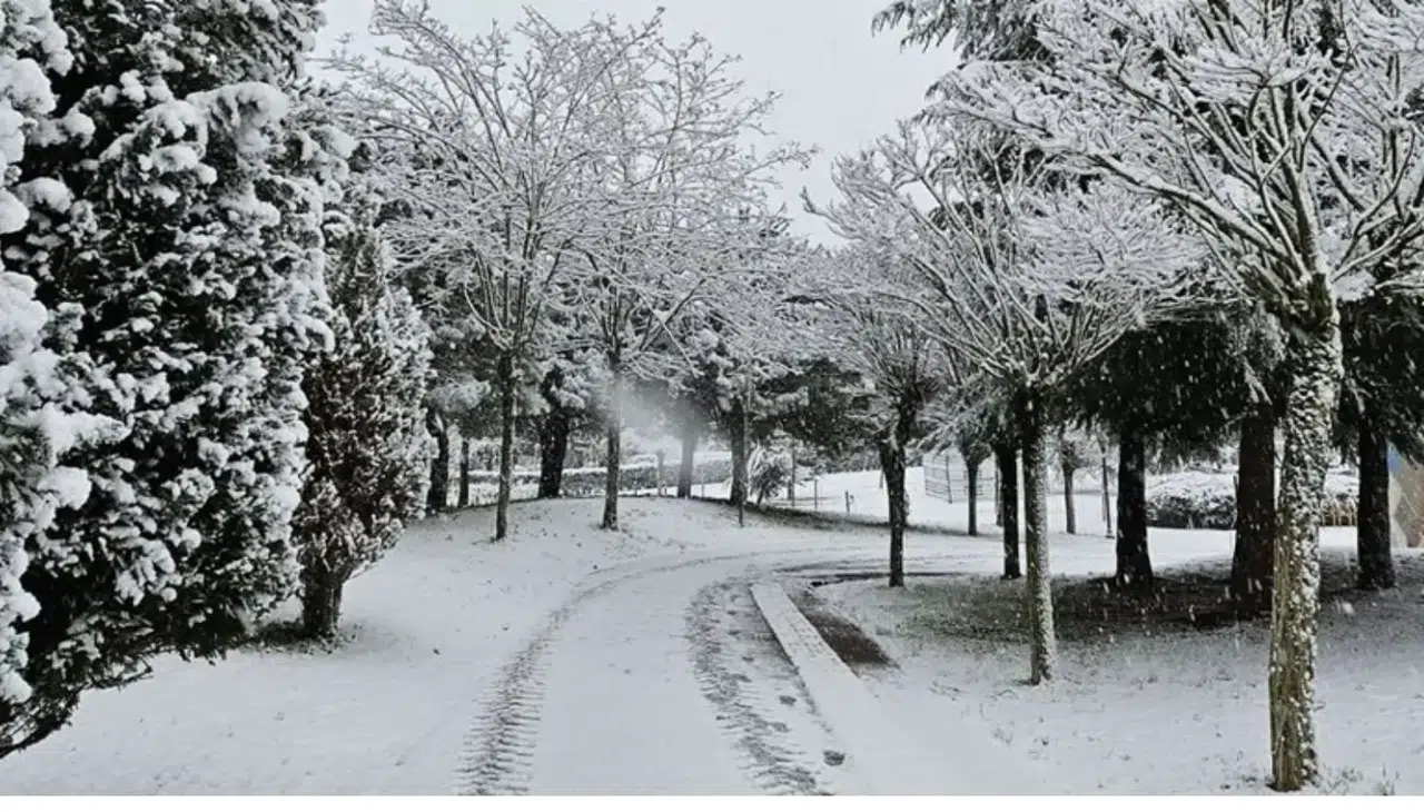 Kocaeli'ne Kar Yağışı Geliyor: Uzmanlar Tarih Verdi!