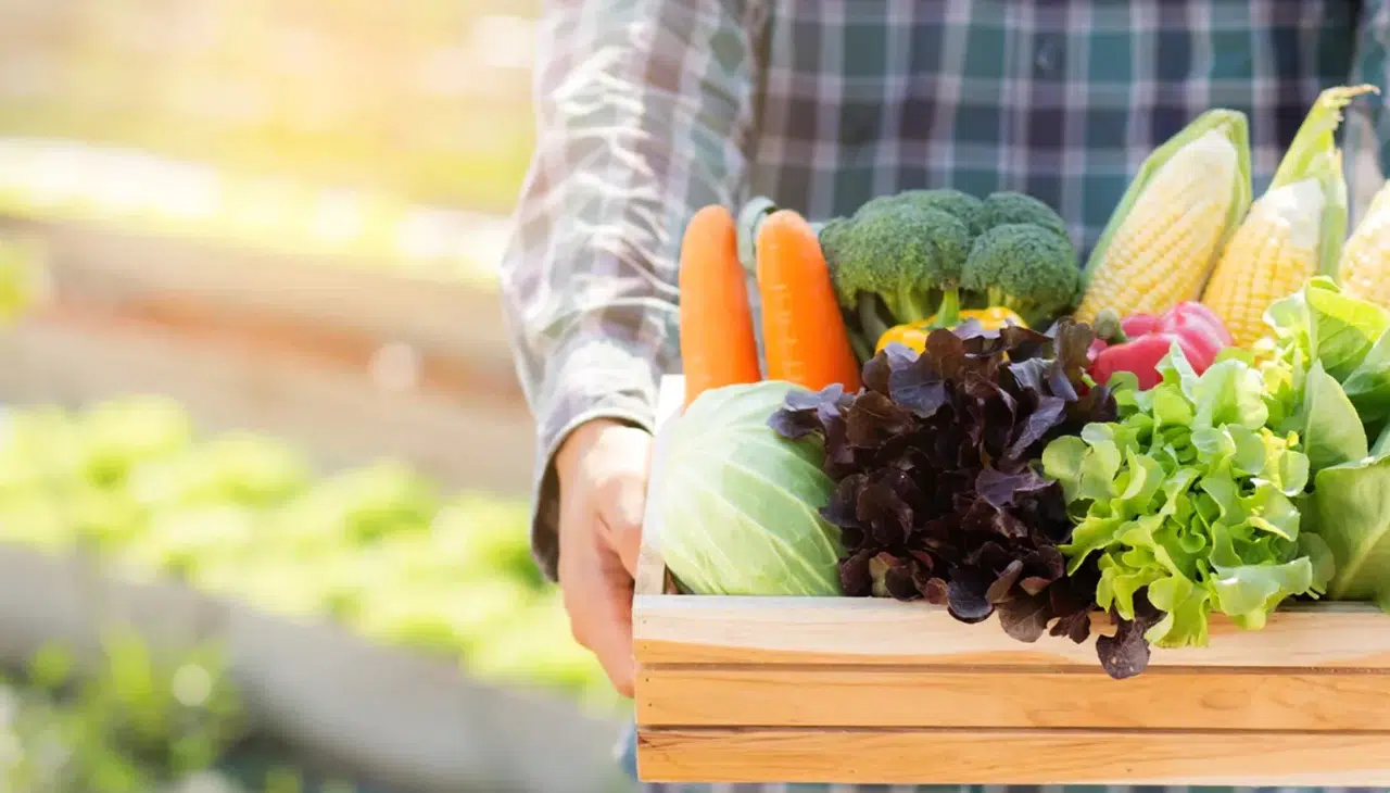 2025 Beslenmede Ezberleri Bozdu: Ultra İşlenmiş Gıdalardan Bağırsak Sağlığına Yeni Trendler Hayatı Değiştiriyor