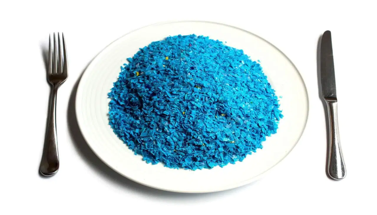 Mikroplastik Yükü Sandığımızdan Çok Daha Ağır