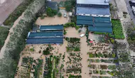 İstanbul'daki Sel Felaketinde Can Kaybı 6'ya Çıktı