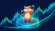 DBR Tokeninde Bugün Önemli Kilit Açılımı Gerçekleşiyor