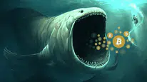 Kripto Piyasasında Dev Hamle! Balina 8 Altcoin’den Sonra 10 Tane Daha Topladı