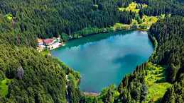 Artvin'in Kökeni Nereden Gelir?