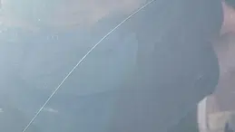 Tesla Model Y Standard: Cam Tavanın Olmamasının Arkasındaki Sebep Nedir?