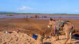 Küresel Su Krizi: Serbest Yaşayan Amipler Tehlike Saçıyor