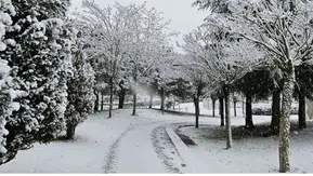 Kocaeli'ne Kar Yağışı Geliyor: Uzmanlar Tarih Verdi!