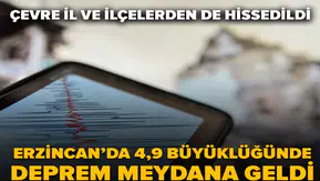 Erzincan’da 4,9’luk Deprem Panik Yarattı: Uzmanlardan Kritik Fay Hattı Uyarısı