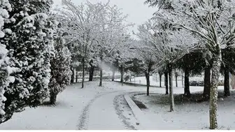 Kocaeli'ne Kar Yağışı Geliyor: Uzmanlar Tarih Verdi!