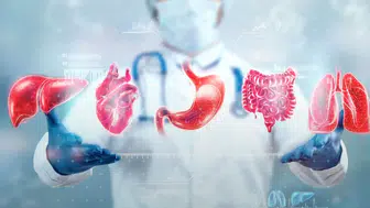 Gerçek Yaşınız Kimliğinizde Yazmıyor: Organların Biyolojik Yaşı Sağlığın Şifresini Veriyor