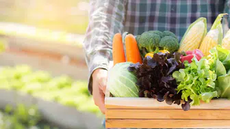 2025 Beslenmede Ezberleri Bozdu: Ultra İşlenmiş Gıdalardan Bağırsak Sağlığına Yeni Trendler Hayatı Değiştiriyor