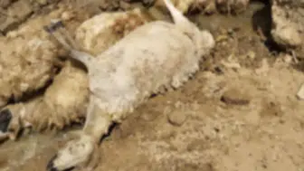 İsviçre'deki Trajik Olayın Arkasındaki Şampanya Meşaleleri: Ayrıntılar Ortaya Çıkıyor