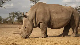 Aracınızdaki Gizli Düğme: Hayat Kurtaran Fonksiyonu KeşfedinAşının Yeni Yüzü: ABD'li Virolog Bira Şeklinde Aşı GeliştirdiGenetik Faktörler İştah Kontrolünü Nasıl Etkiliyor? Obezite Riski Hakkında Şaşırtıcı Bulgular