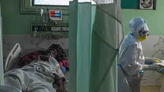 Küresel Tehdit: C. auris Mantar Salgını 50'den Fazla Ülkede Hızla Yayılıyor