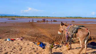 Küresel Su Krizi: Serbest Yaşayan Amipler Tehlike Saçıyor