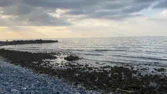 Bodrum'da Denizin Çekilmesi İle İlgili Endişeler Artıyor: Uzmanlardan Açıklamalar Geldi