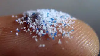 Mikroplastikler Sağlık Risklerini Artırıyor: Yeni Araştırma Damar Sertliği ile İlişkilendirdi