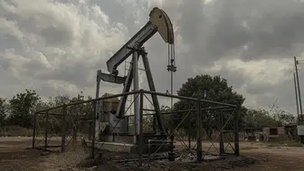 X Platformunda Erişim Sorunları