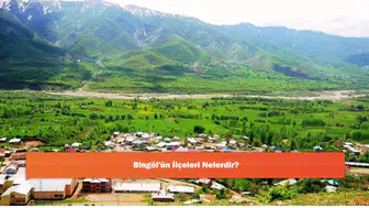 Bingöl'ün İlçeleri Nelerdir?