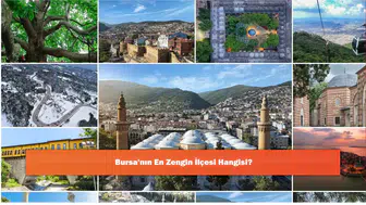 Bursa'nın En Zengin İlçesi Hangisi?