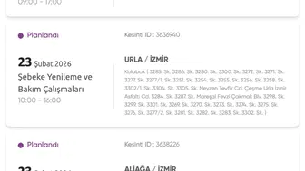 İzmir'deki Elektrik Kesintisine Dair Son Gelişmeler