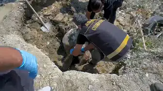 Pınar Eliçe Kimdir?