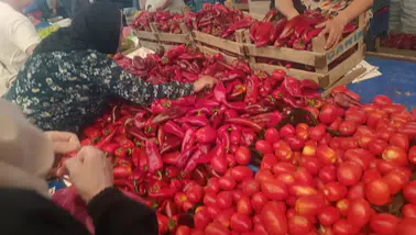 Oflu Hoca’nın Şifresi filmi hakkında merak edilenler