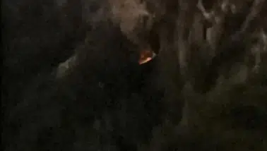 Araç alacaklar dikkat!