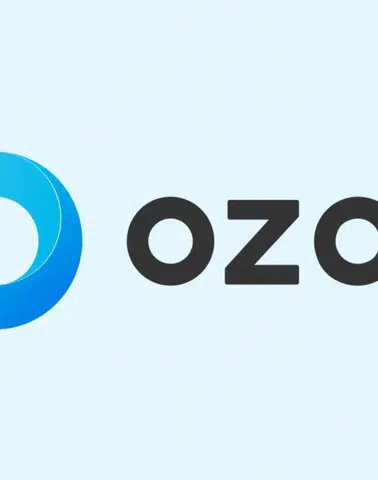 Ozan Elektronik Para A.Ş.’ye Düzenlenen Büyük Ölçekli Yasa Dışı Bahis ve Aklama Operasyonu