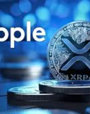XRP Piyasasında Çanlar Çalıyor: 75 Milyon Dolarlık Zarar Alarmı