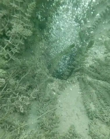 Sapanca Gölü’nde Gizemli Kabarcıklar Korkuttu: Deprem Endişesi Büyüyor