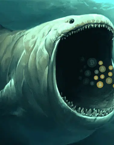 Kripto Piyasasında Dev Hamle! Balina 8 Altcoin’den Sonra 10 Tane Daha Topladı