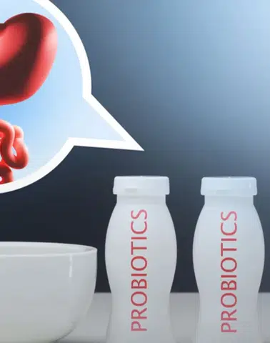 Bağışıklığın Gücü Bağırsaklarda Saklı: Kış Hastalıklarına Karşı Doğal Kalkan Probiyotikler