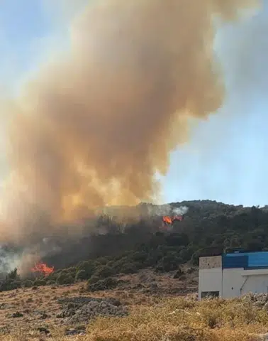 Kaş'ta Orman Yangını: Ekipler Seferber Edildi