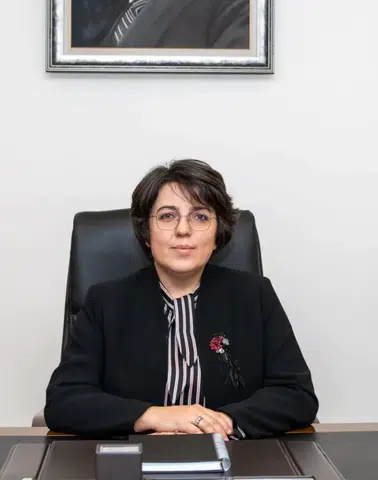 Cumhurbaşkanlığı Atama Kararı Resmi Gazete'de Yayımlandı
