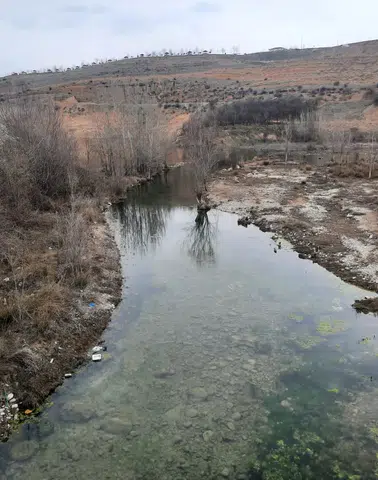 Çocukların Akciğer Gelişimi Hızlandı