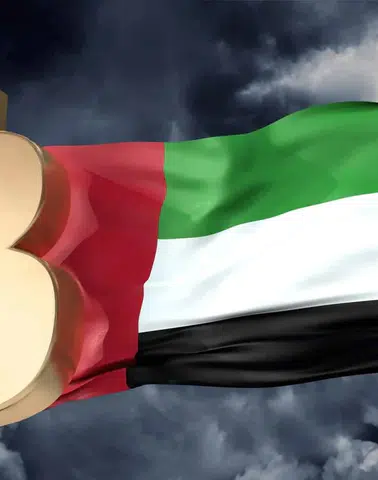 Abu Dabi Fonları Bitcoin Pozisyonlarını Açıkladı