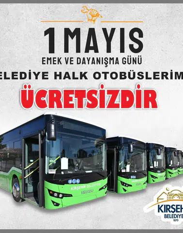 Biran Damla Yılmaz'ın Hayatı ve Kariyeri
