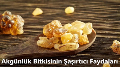 Akgünlük Bitkisinin Şaşırtıcı Faydaları: Sağlığınıza Nasıl Katkı Sağlar?