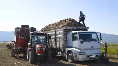 Burdur’da Şeker Pancarı Hasadı Devam Ediyor