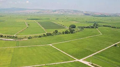 Kocaeli İzmit'te İcra Yoluyla Satışa Çıkarılan 7738 m² Büyüklüğündeki Tarla Alıcılarını Bekliyor!