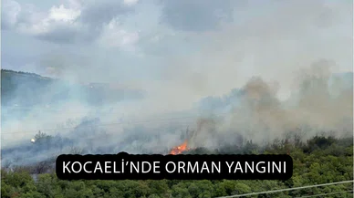 Kocaeli’de Orman Yangını! Bölgeye Ekipler Sevk Edildi