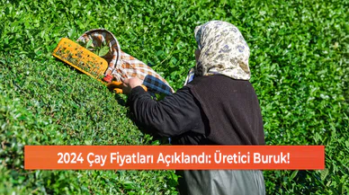 2024 Çay Fiyatları Açıklandı: Üretici Buruk!