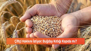 Çiftçi Hakkını İstiyor: Buğday Kıtlığı Kapıda mı?